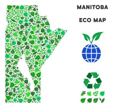 Vektör eko yeşil kompozisyon Manitoba Eyaleti harita