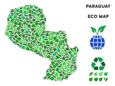 Vektör eko yeşil kompozisyon Paraguay Haritası