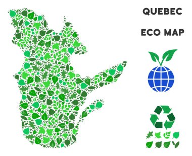 Vektör ekoloji yeşil kolaj Quebec eyaleti harita