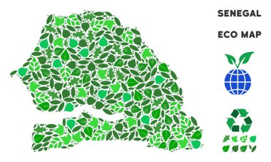 Vektör ekoloji yeşil kompozisyon Senegal haritası