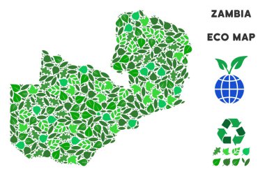Vektör ekoloji yeşil kompozisyon Zambiya Haritası