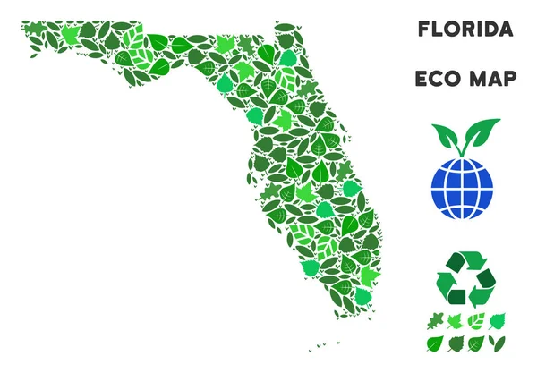 Vektör yaprak yeşil kolaj Florida harita