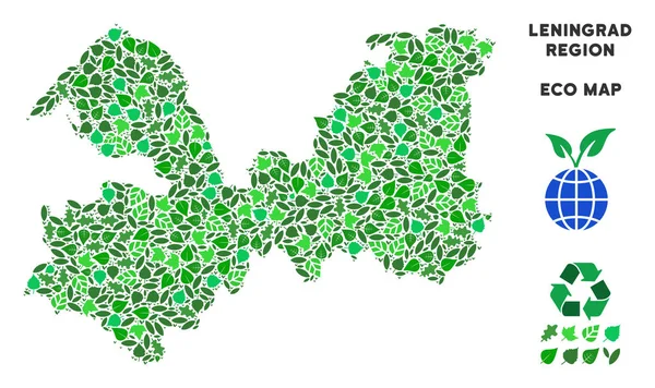 Vektör eko yeşil kolaj Leningrad Oblast Haritası