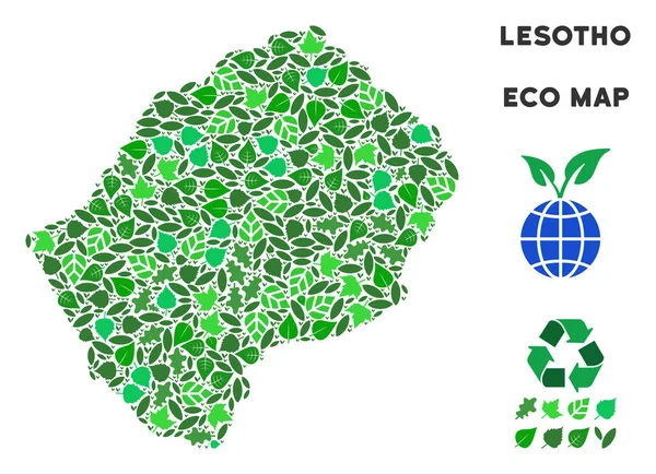 Vektör ekoloji yeşil kompozisyon Lesoto Haritası