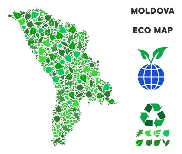 Vektör yaprak yeşil kolaj Moldova Haritası