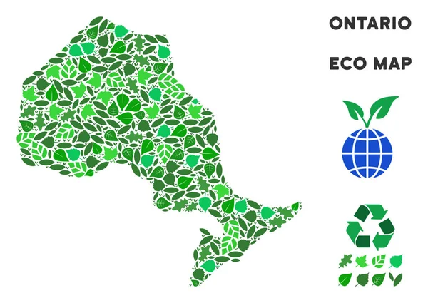 Vektör eko yeşil kolaj Ontario Eyaleti harita