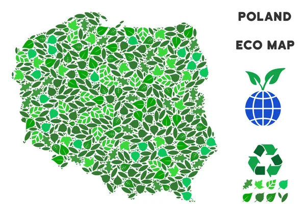 Vektör yaprak yeşil mozaik Polonya harita