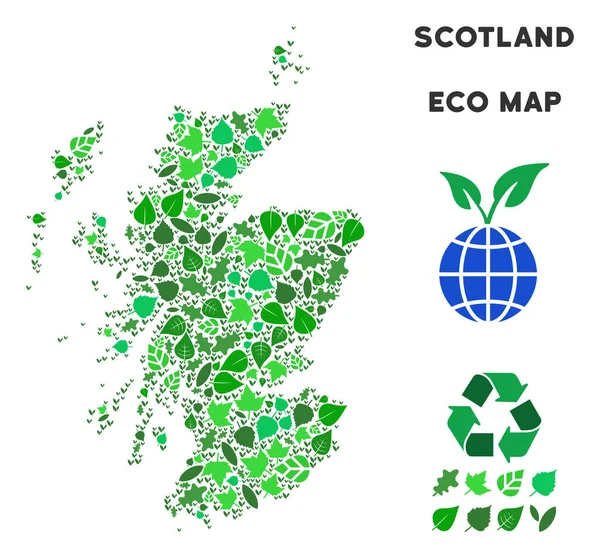 Vektör ekoloji yeşil kolaj İskoçya Haritası