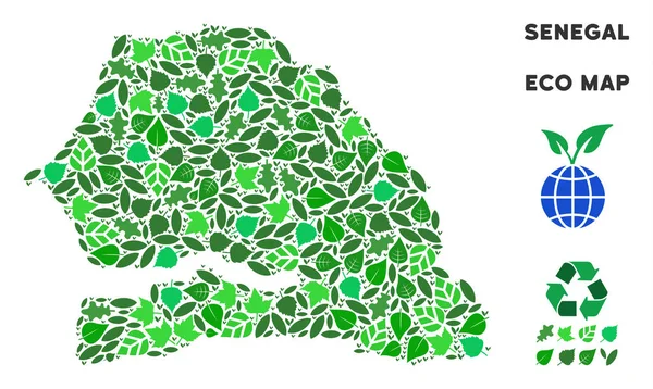 Vektör ekoloji yeşil kompozisyon Senegal haritası