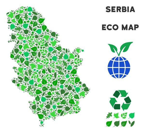 Vektör yaprak yeşil kolaj Sırbistan harita