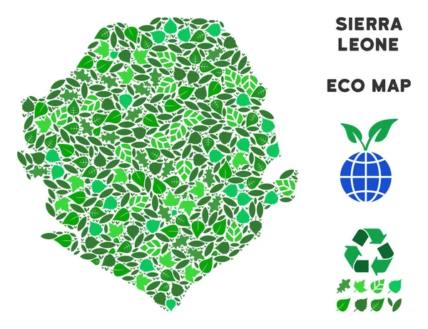 Διάνυσμα οικολογία πράσινες σύνθεση Σιέρα Λεόνε Χάρτης — Διανυσματικό Αρχείο