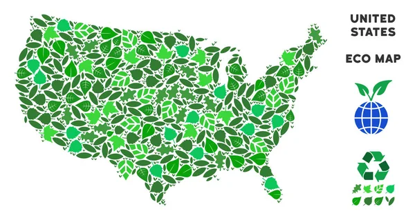 Vektör eko yeşil kolaj ABD Haritası