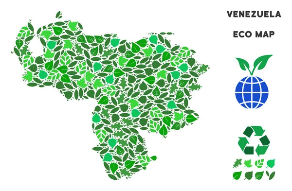 Vektör eko yeşil mozaik Venezuela Haritası