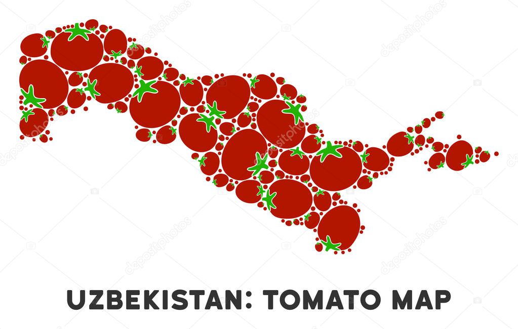Uzbekistan Map Composition of Tomato