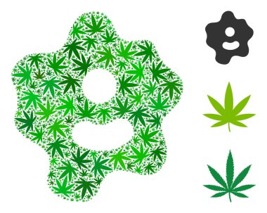 Amip kompozisyon esrar