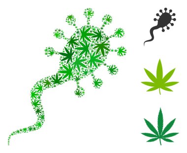 Kan emici kompozisyon esrar