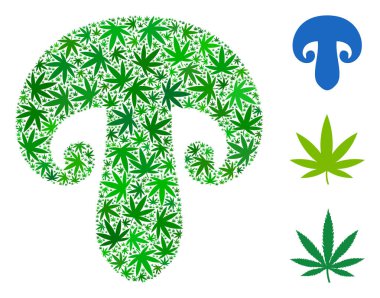 Ot yaprakları champignon mantar oluşumunu