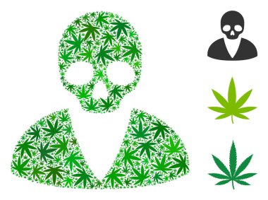 Ölüm adam kolaj otu yaprakları