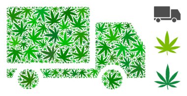 Teslimat kolaj otu yaprakları