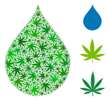 Damla kompozisyon esrar