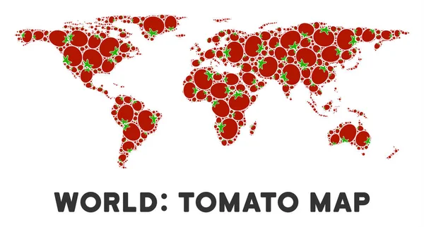 Světová mapa složení rajčete — Stockový vektor