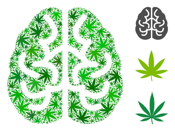 Brain Collage of Hemp Leaves — Stock Vector