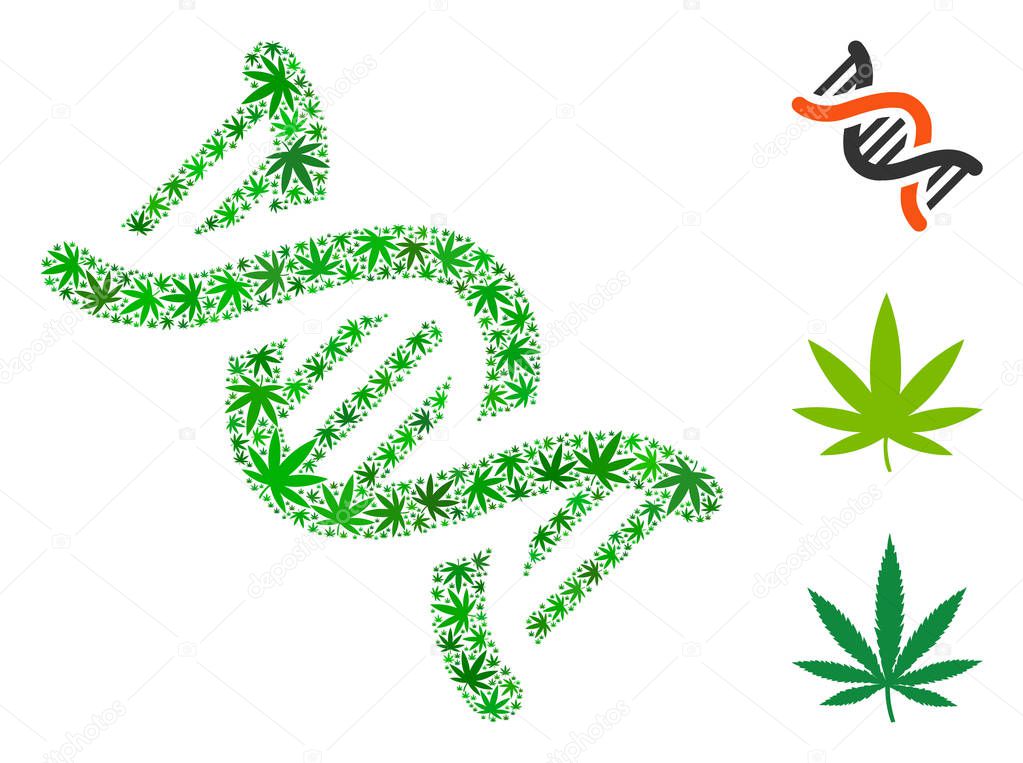 Dna Spiral Composition of Hemp Leaves