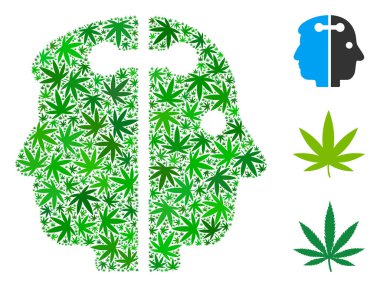 Çift kafa bağlantı mozaik esrar