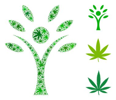 Eco adam kolaj esrar