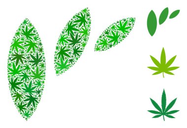 Flora yaprak soyutlama kolaj otu yaprakları