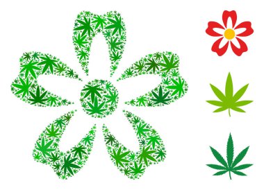 Çiçek mozaik esrar