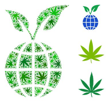 Küresel filiz kolaj ot yaprağı