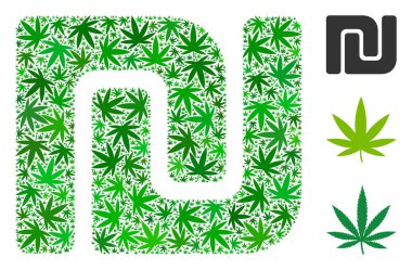 Esrar İsrail Şekeli bileşimi