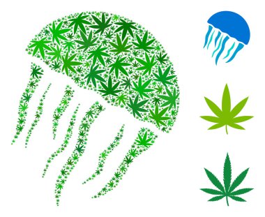 Ot yaprakları bileşimi denizanası