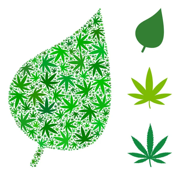 マリファナの植物の葉の成分 — ストックベクタ