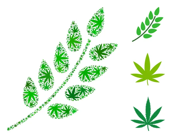 Leaf Branch Collage of Hemp Leaves — Stock Vector