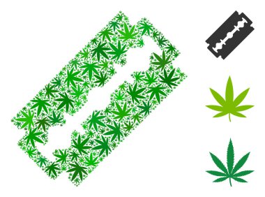 Tıraş jilet kolaj otu yaprakları