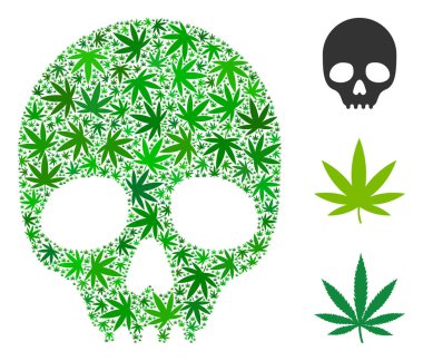 Kafatası mozaik esrar