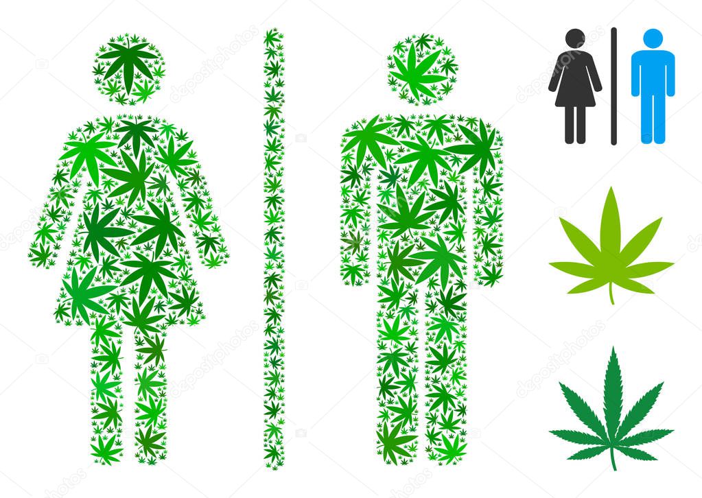 Toilet Persons Composition of Marijuana