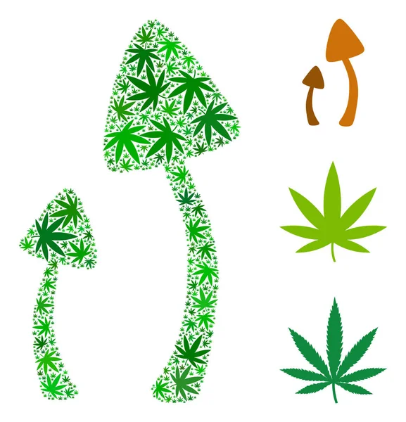 Champignons psychédéliques Composition des feuilles de chanvre — Image vectorielle