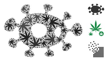 Bakteri mozaik kenevir yaprak