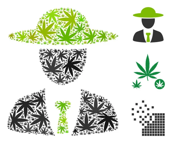 Ziraat Mühendisi Şef kolaj esrar