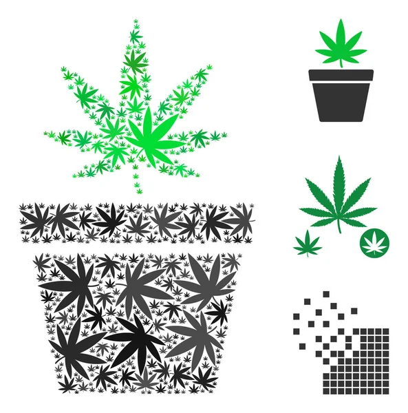 Esrar esrar esrar bileşimi