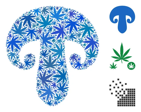 Esrar champignon mantar kolaj