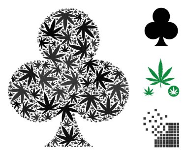 Kulüpleri esrar bileşimi uygun