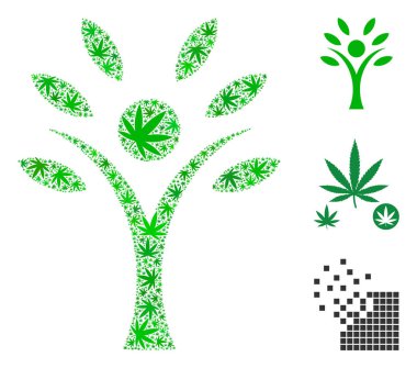 Eco adam kompozisyon esrar