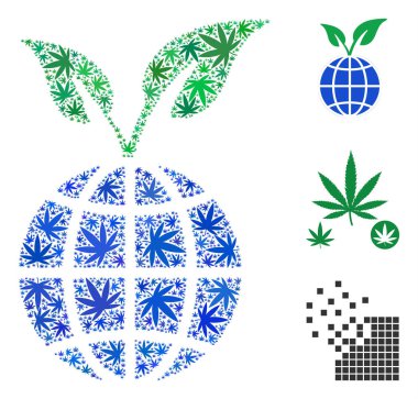 Küresel filiz kolaj esrar