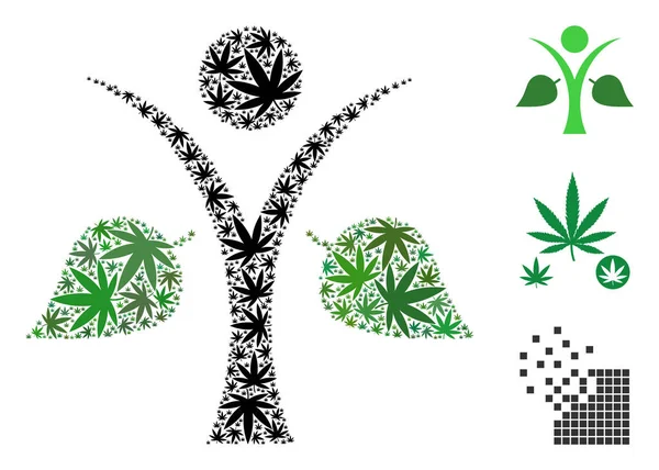 Ekoloji adam kompozisyon esrar