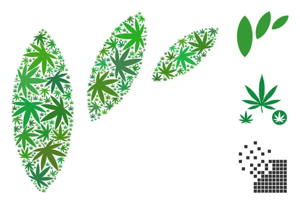 Flora yaprak soyutlama kompozisyon ot yaprağı