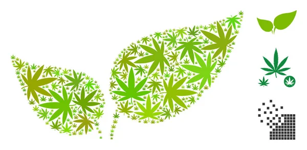 Collage de hojas florales de hojas de hierba — Vector de stock